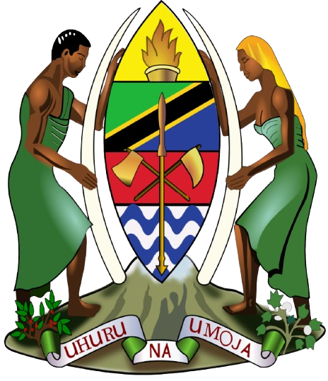 UDSM Logo
